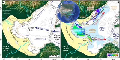 Pollen and spore records constrained by millennial prodelta evolution: a case study of the Huanghe (Yellow River) delta